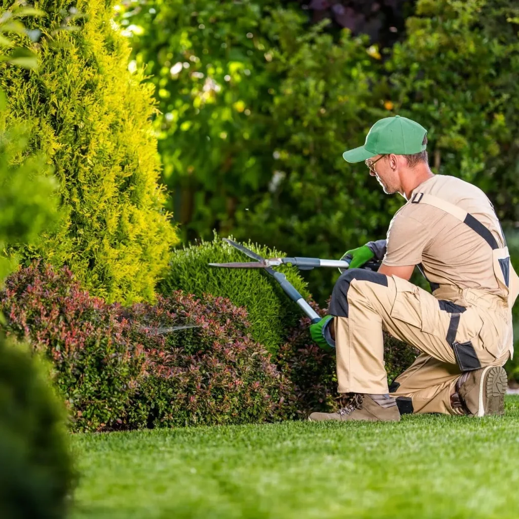 creation-jardin-sur-mesure-rabat-florini "Création de jardin sur mesure à Rabat par Florini - Expert en aménagement paysager urbain"